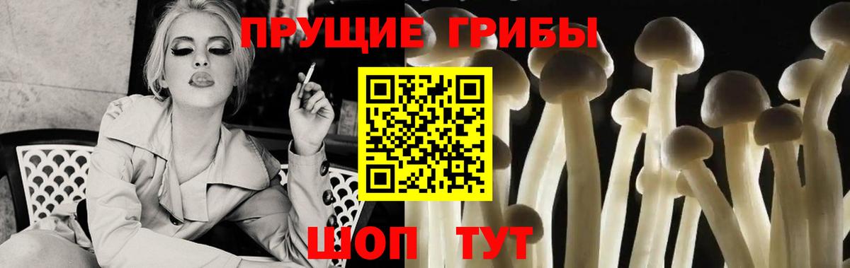 Арсеньев  продажа наркотиков  Вход с VPN  Галлюциногенные грибы GOLDEN TEACHER 